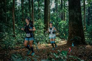 BIB: 
                            <button type="button" onclick="openModal(26127859)" class="btn btn-primary btn-sm float-right btn-popup" data-toggle="modal" data-target=".modal-high-quality">
                        <i class="fas fa-shopping-cart"></i> Add to Cart
                    </button>
                                            <button type="button" onclick="isThisMe(26127859, true)" class="btn btn-success btn-sm float-right btn-popup btn-isme hidden" data-toggle="tooltip" data-placement="bottom" title="นี่คือรูปของคุณใช่ไหม คลิกที่นี่เพื่อเอาเข้าอัลบั้ม">
                        <i class="fas fa-plus"></i> Add to album
                    </button>
                    <button type="button" onclick="isThisMe(26127859, false)" class="btn btn-warning btn-sm float-right btn-popup btn-isnotme hidden">
                        <i class="fas fa-ban"></i> Remove from album
                    </button>